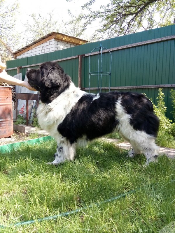 Фотография № 235726