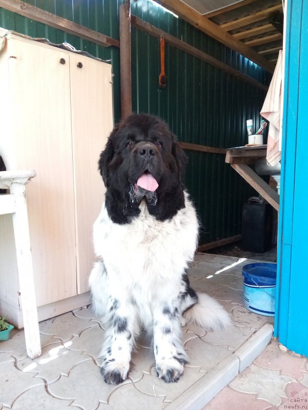 Фотография № 235727