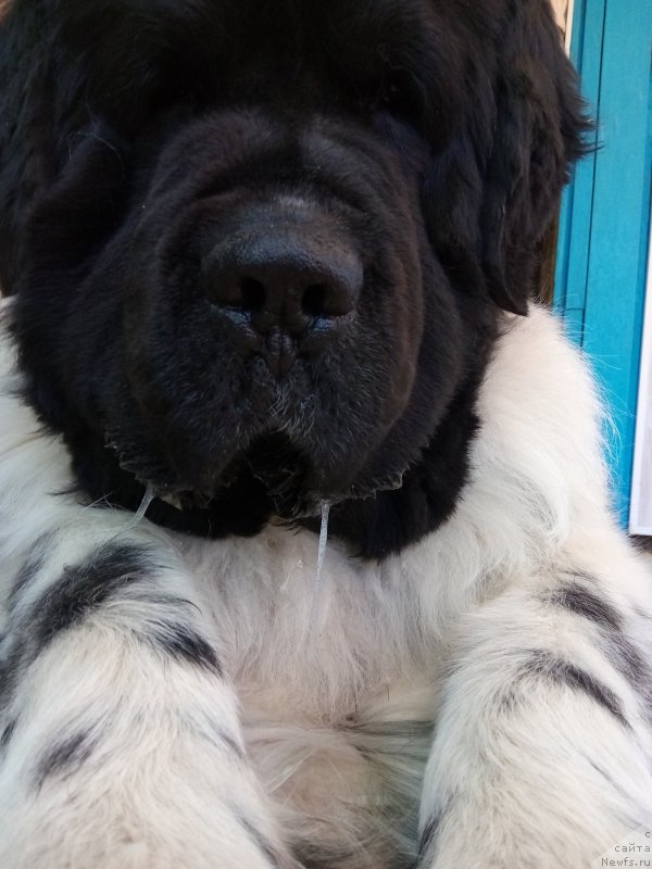 Фотография № 235728