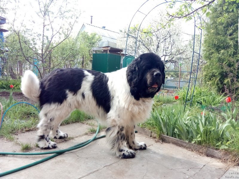 Фотография № 235729