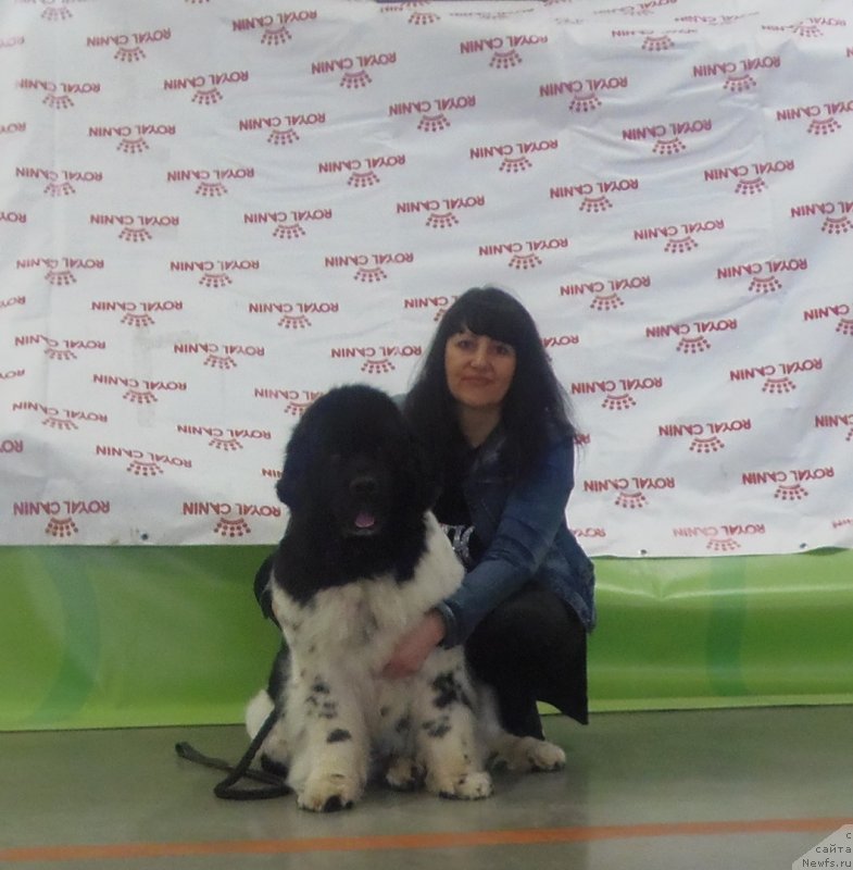 Фотография № 235734