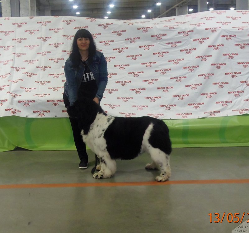 Фотография № 235737