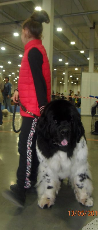 Фотография № 235738