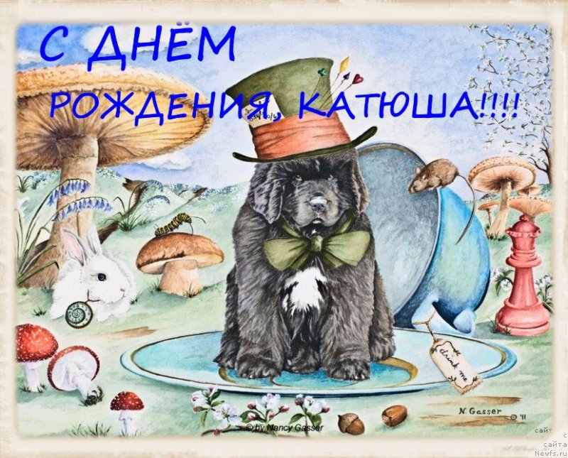 Фотография № 235748