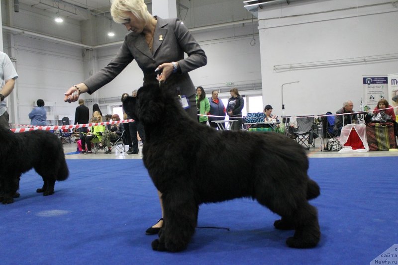 Фотография № 235752