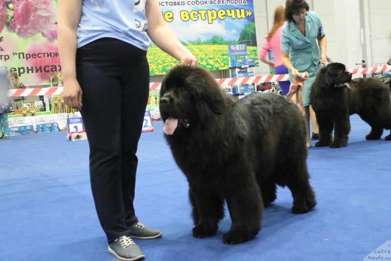 Фотография № 235755