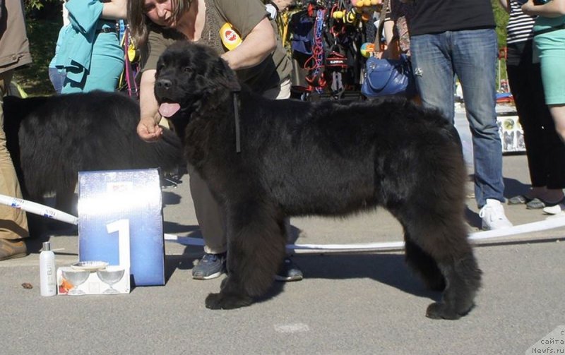 Фотография № 235765