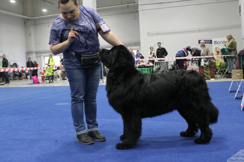 Фото: FIAMETTAHAUZ TSIKNEUA