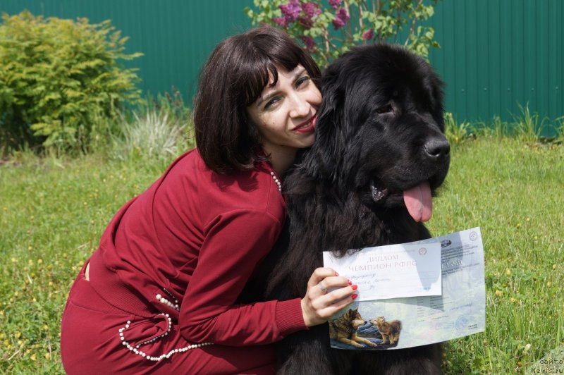 Фото: Мария Ермачкова