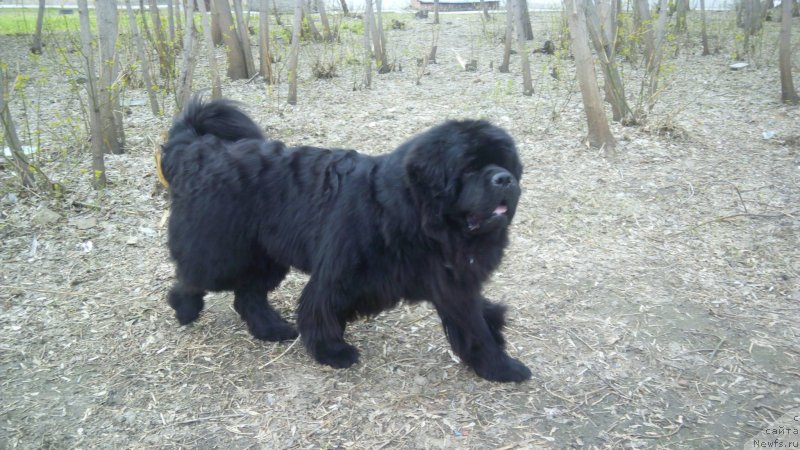 Фотография № 235799