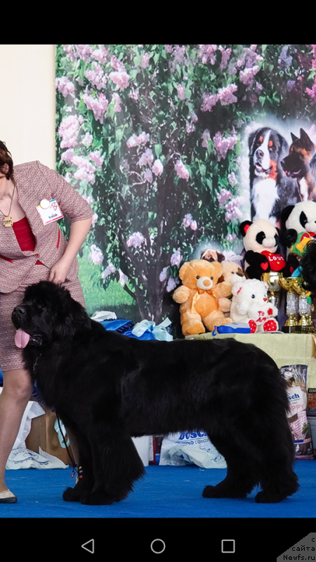 Фотография № 235804