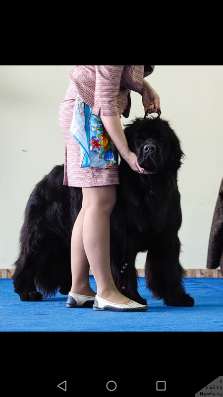 Фотография № 235806