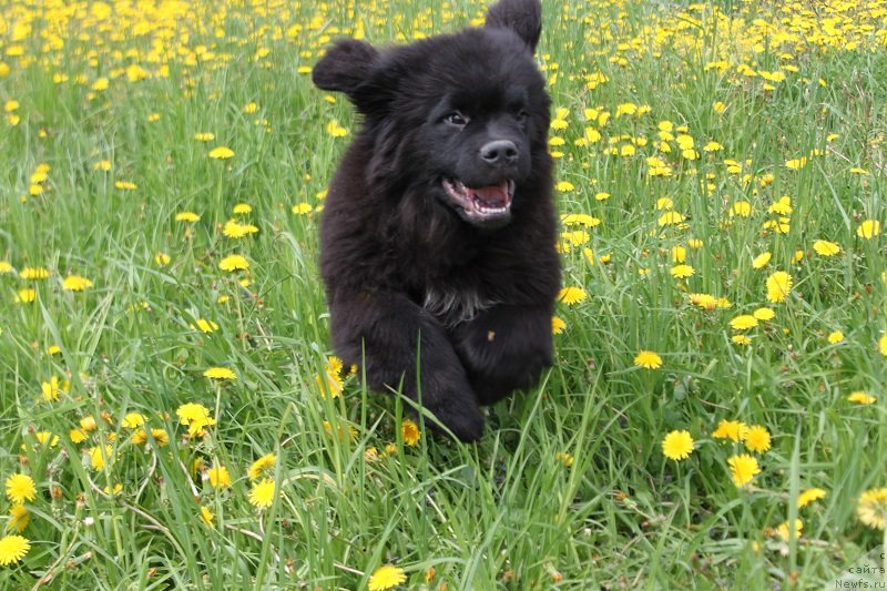 Фотография № 235822