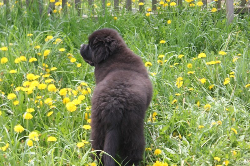 Фотография № 235824