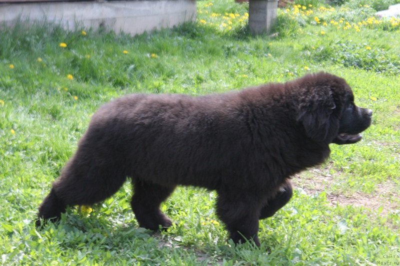 Фотография № 235827