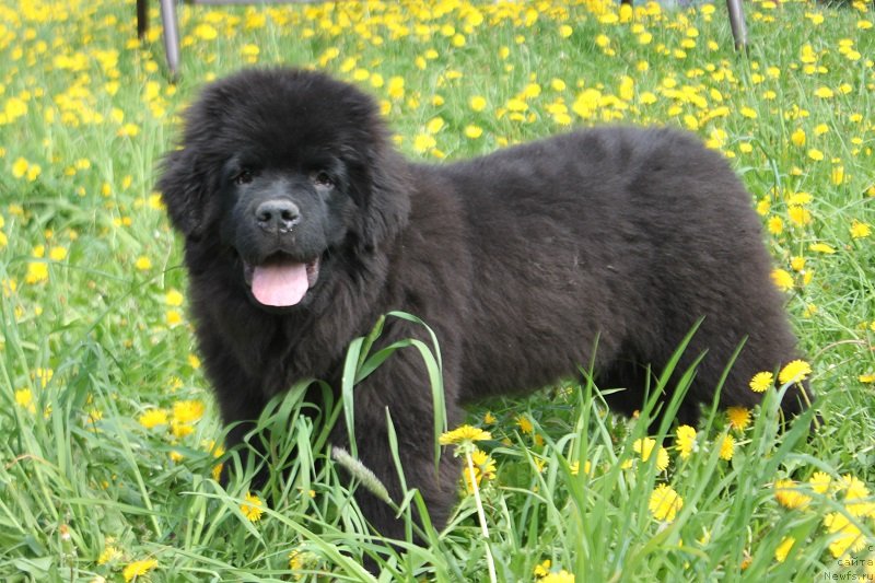 Фотография № 235828