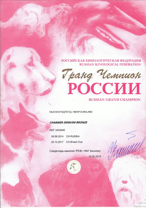 Фото: ньюфаундленд Чармер Денкам Бронз (Charmer Denkam Bronze)
