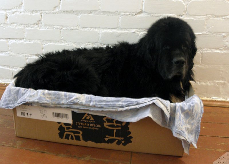 Фотография № 235840