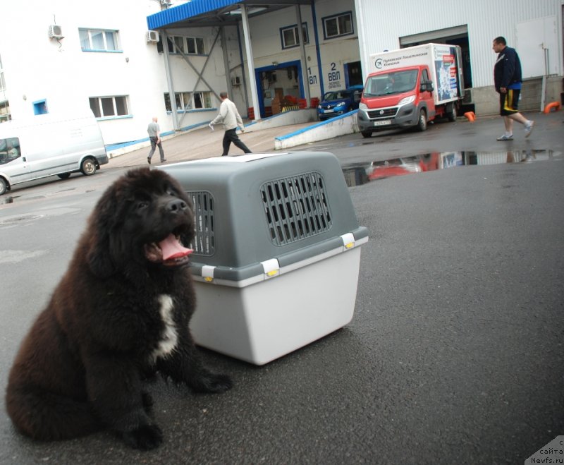 Фотография № 235842