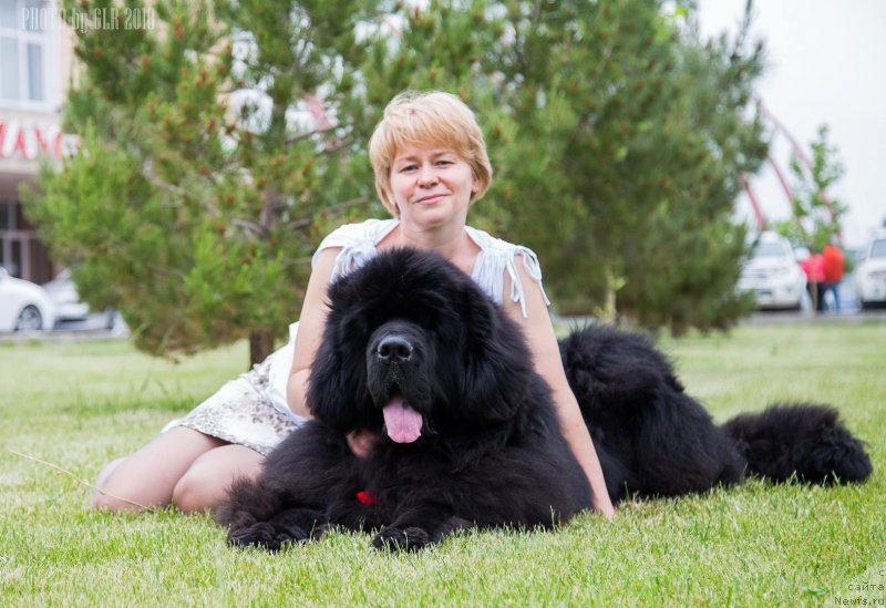 Фотография № 235851