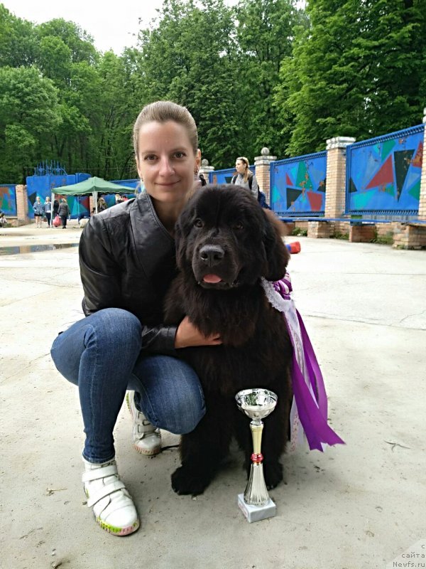 Фотография № 235863