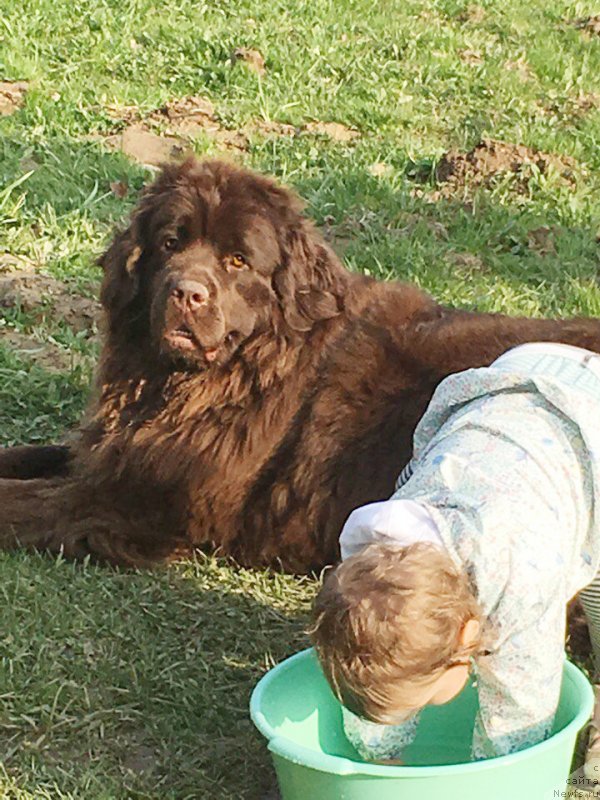 Фотография № 235866