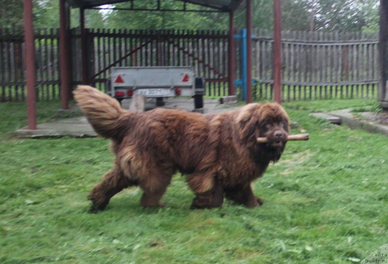 Фотография № 235875