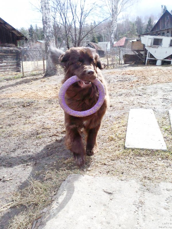 Фотография № 235884