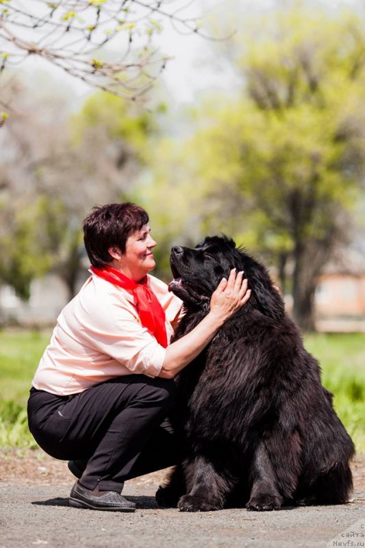 Фотография № 235892