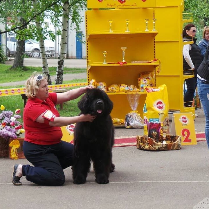 Фотография № 235896