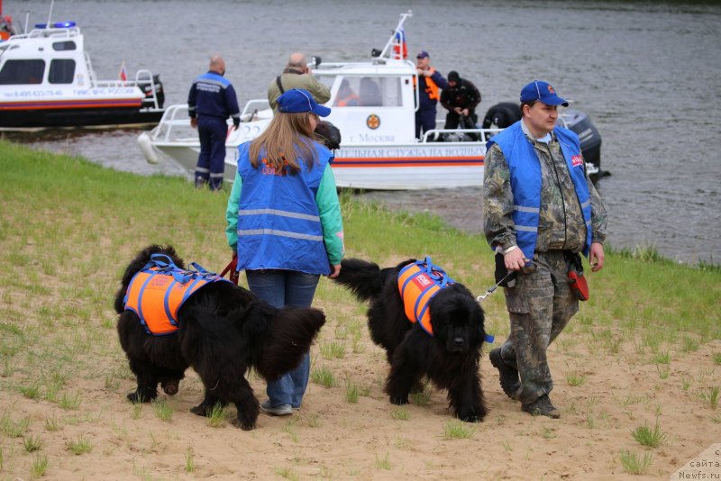 Фотография № 235908