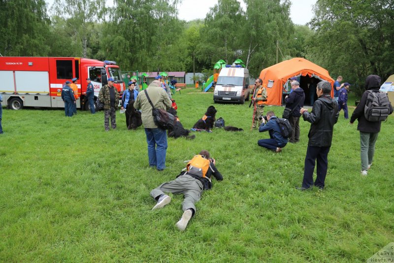 Фотография № 235912