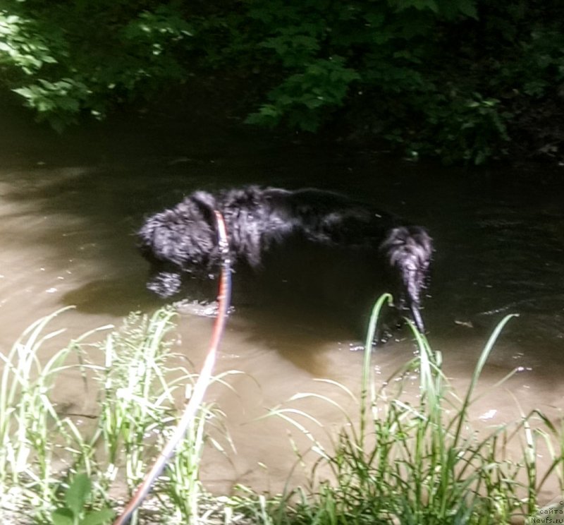 Фотография № 235917