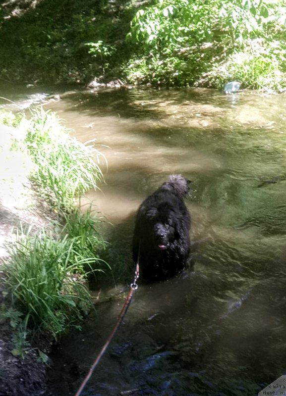 Фотография № 235918