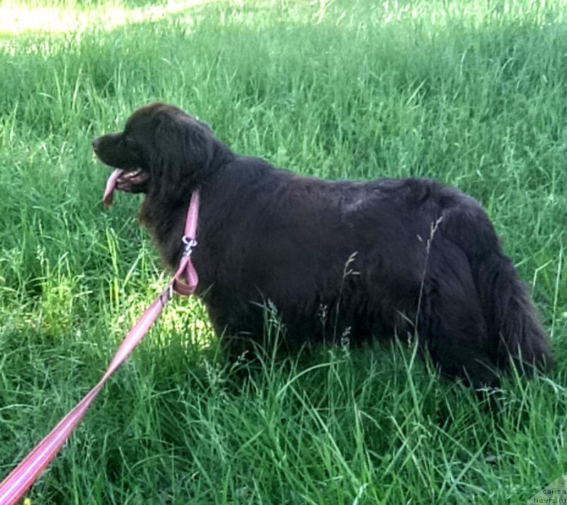 Фотография № 235920