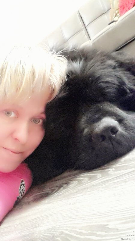 Фото: ньюфаундленд Кипер Соул Симба, Елена Казанцева