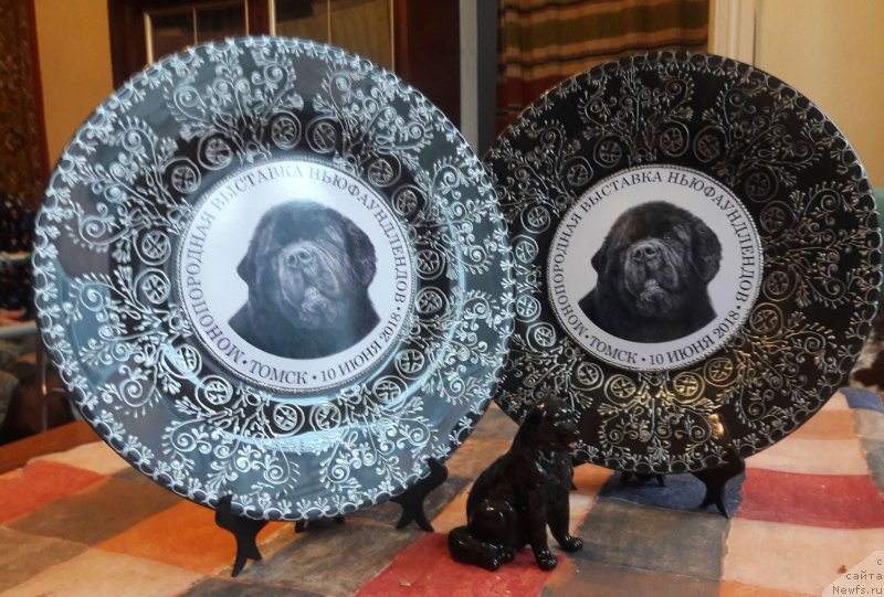 Фотография № 235942