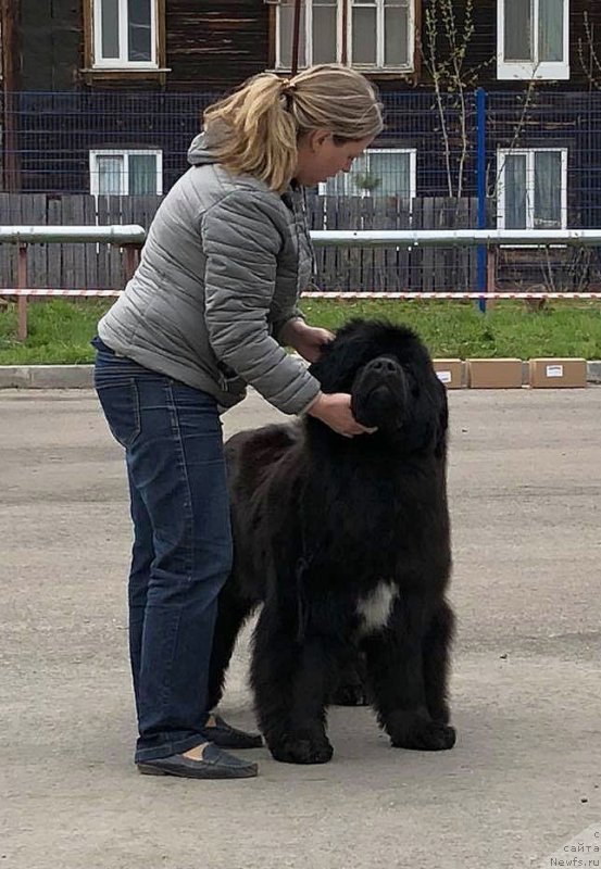 Фотография № 235952