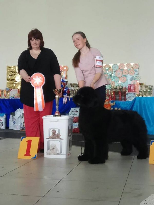 Фотография № 235954