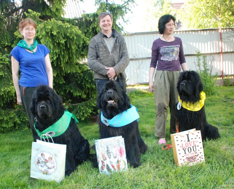 Фото: ньюфаундленд Целого Мира Мало из Аркаима (Tselogo Mira Malo iz Arkaima), ньюфаундленд Центр Мироздания из Аркаима (Tsentr Mirozdaniya iz Arkaima), ньюфаундленд Циннамон БельФра Шармэль из Аркаима (Tsinnamon Bel' Fra Sharmel iz Arkaima), Марина Волкова, Наталья Селезнева