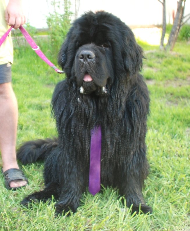 Фотография № 235962