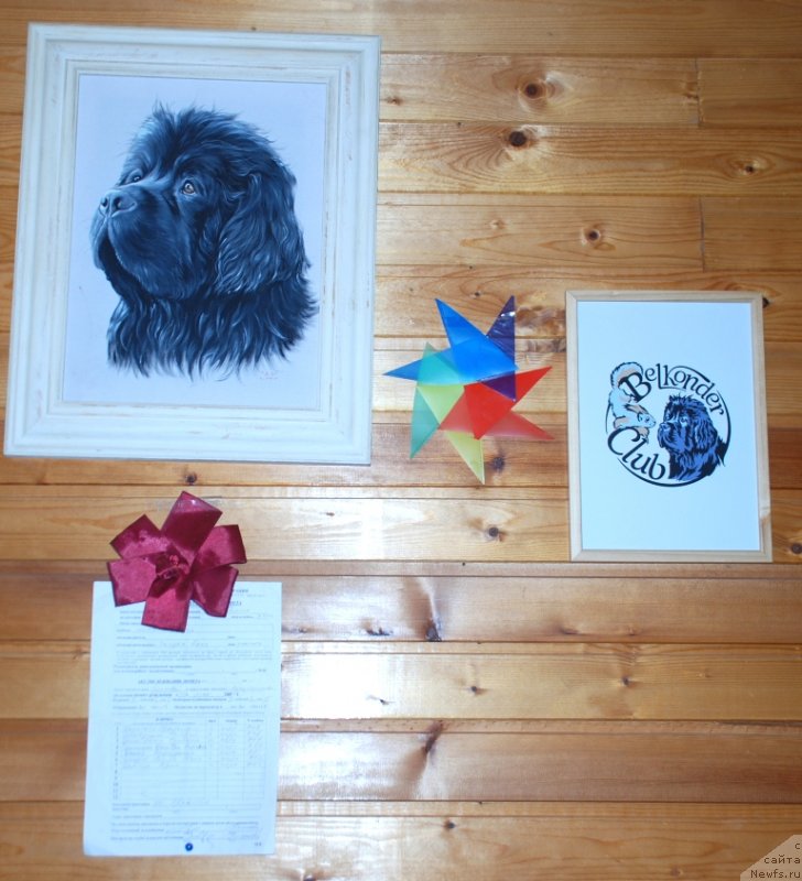 Фотография № 235977