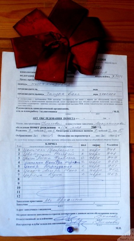 Фотография № 235978