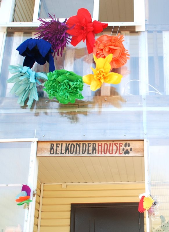 Фотография № 235979