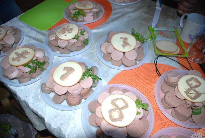 Фотография № 235980