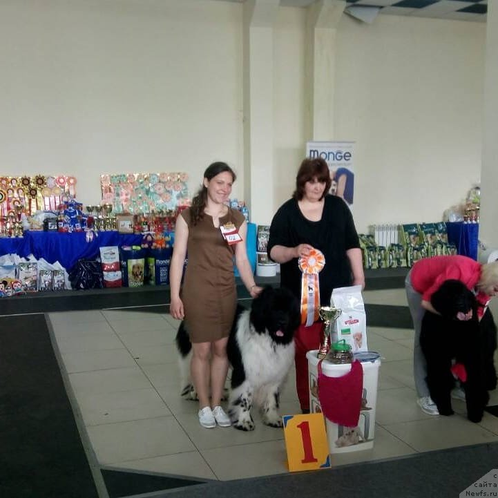 Фотография № 236011