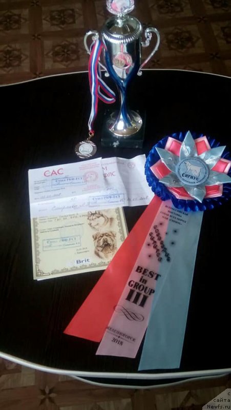 Фотография № 236012