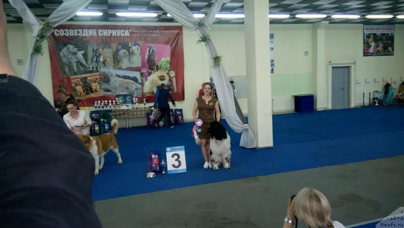 Фотография № 236013