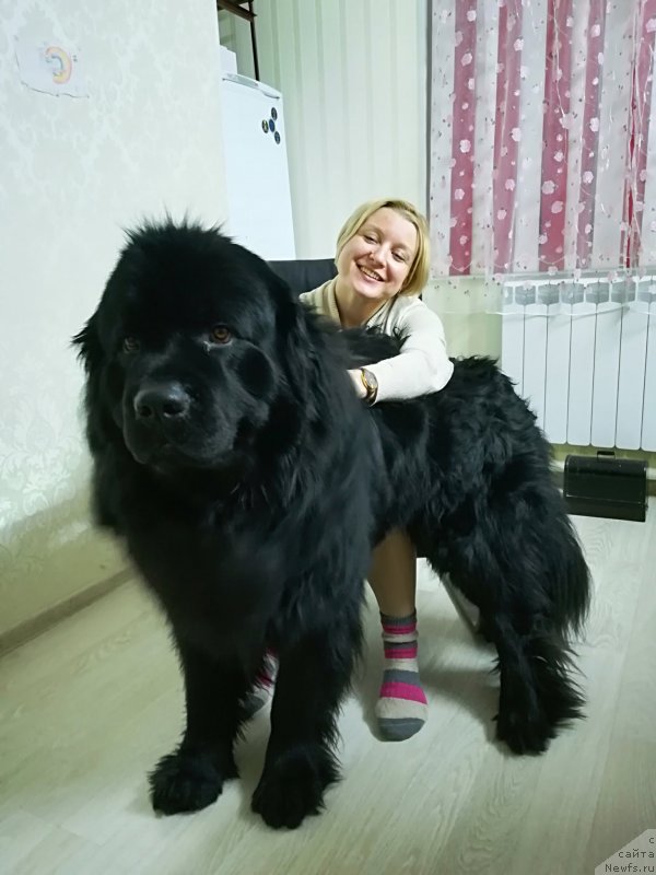 Фото: Сергей Наумов