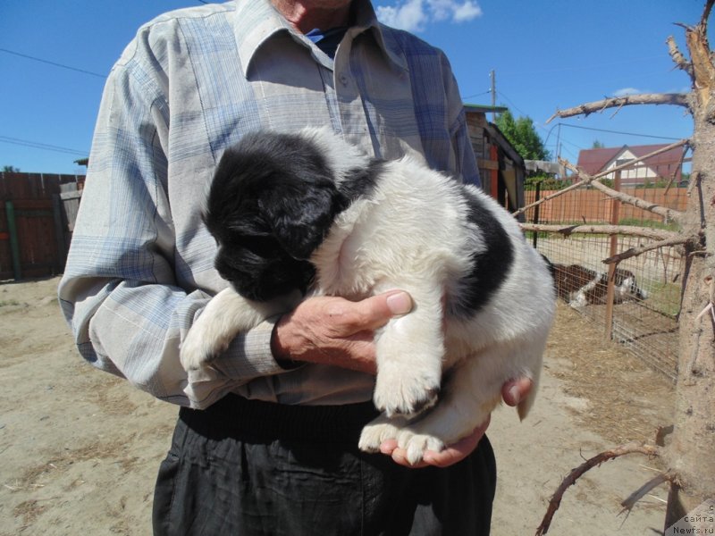 Фотография № 236044